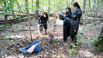 Buried in the forest