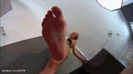 Tiny slave worm under my feet