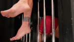 You stay in a cage I do the shopping